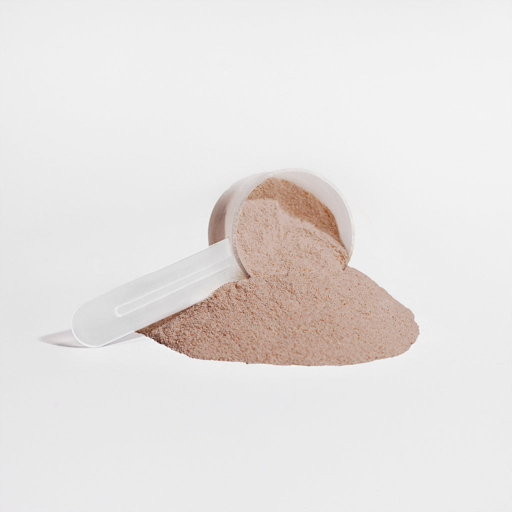 King Reta Organic Plant Protein Isolate (Chocolate) w/MCT Oil