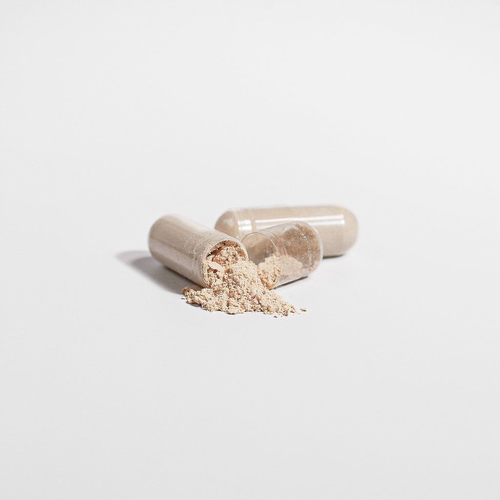 King Reta Lion's Mane Mushroom 1000mg