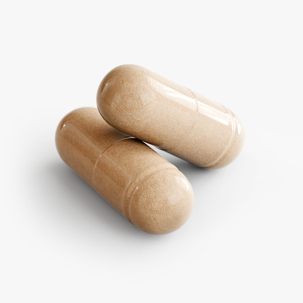 King Reta Mushroom Complex 10 X