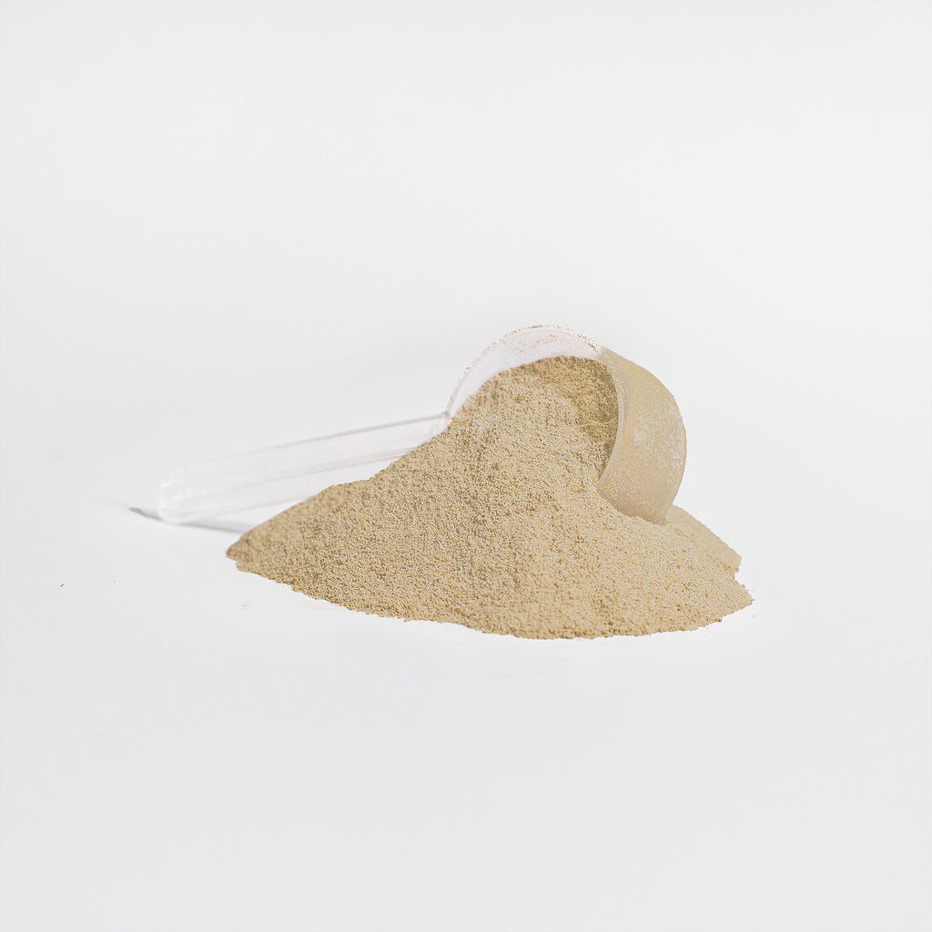 King Reta Organic Plant Protein Isolate (Vanilla) w/MCT Oil