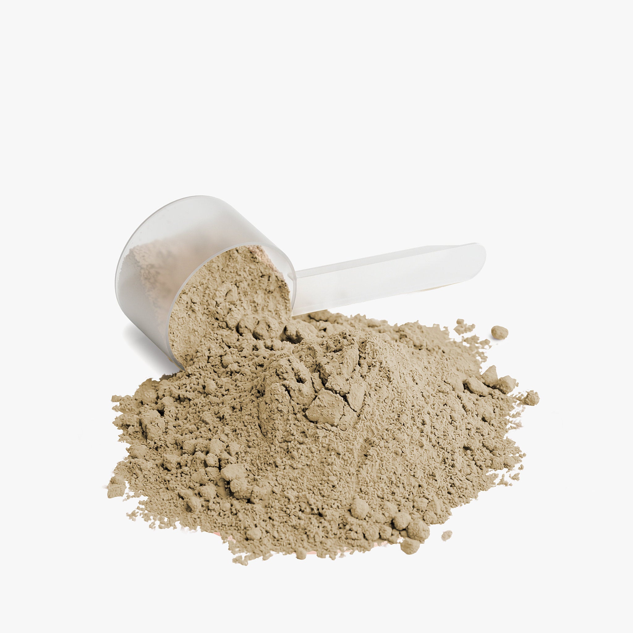 King Reta Plant Protein (Vanilla)