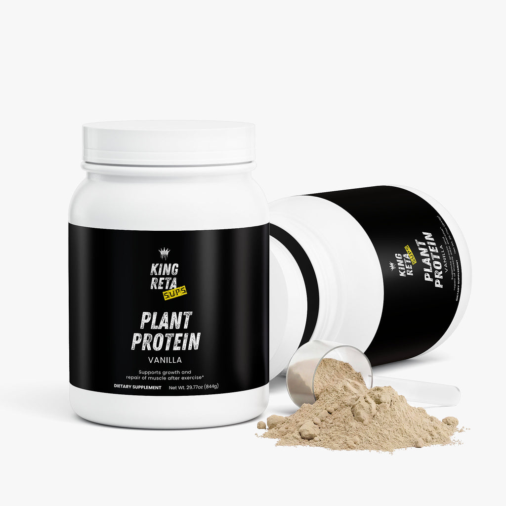 King Reta Plant Protein (Vanilla)